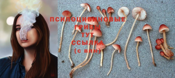 ALPHA PVP Арсеньев