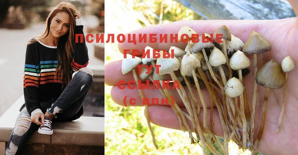 ALPHA PVP Арсеньев