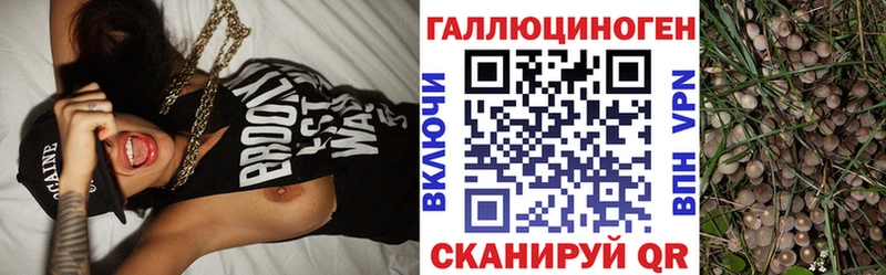 Купить  Унеча  Галлюциногенные грибы MAGIC MUSHROOMS 