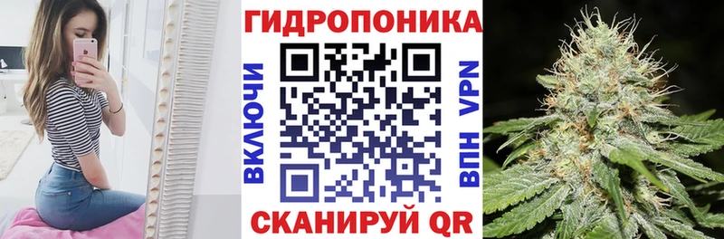 Бошки Шишки планчик  Купить закладки  Унеча 